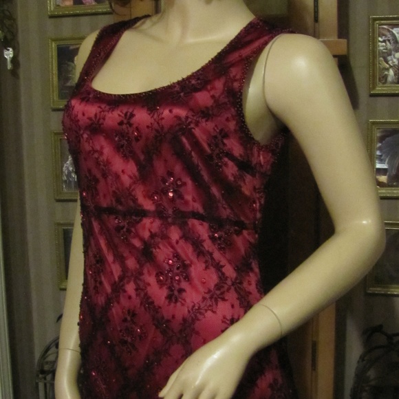 VotreNom Garnet Silk Beaded Lace Dress sz 1 (sz 4) - Picture 2 of 8